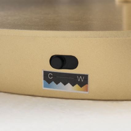 LED dimējama grīdas lampa KOLK LED/40W/230V 2700/4000K zelta