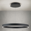 Orion - LED regulējama lustra uz troses KOLK LED/60W/230V 2700/3000/4000K Ø 60 cm melna