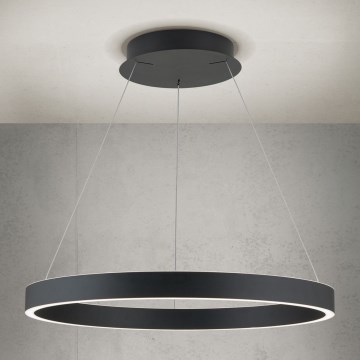 Orion - LED regulējama lustra uz troses KOLK LED/60W/230V 2700/3000/4000K Ø 60 cm melna
