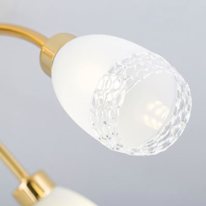 Tieši pie griestiem piestiprināma lustrа CARLA 5xG9/28W/230V, zelta krāsā