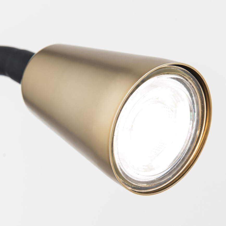 Elastīga galda lampa ar skavu DOTTY 1xGU10/10W/230V misiņš/melna