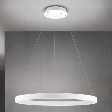 Orion - regulējama LED lustra uz kabeļa KOLK LED/80W/230V 2700/3000/4000K Ø 80 cm balta