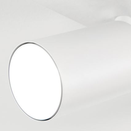 Prožektors SEAN 5xGU10/13W/230V, balts