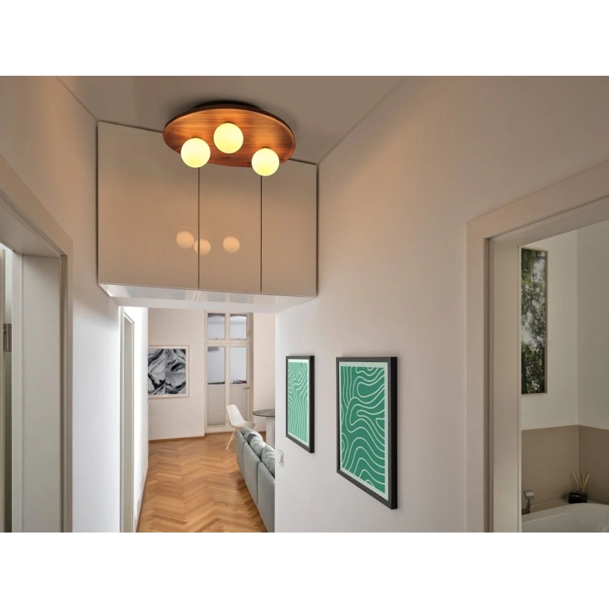 Osram - Griestu lampa ACACIA NEST 3xG9/5W/230V akācija