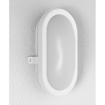 Osram - LED āra sienas gaismeklis BULKHEAD LED/11W/230V IP54 balts