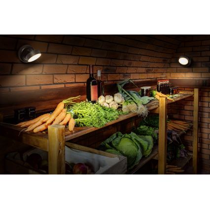 Osram - NIGHTLUX LED sienas gaismeklis ar regulējamu spilgtumu, uzlādējams, ar skārienvadību, LED/1,8W/5V, melns