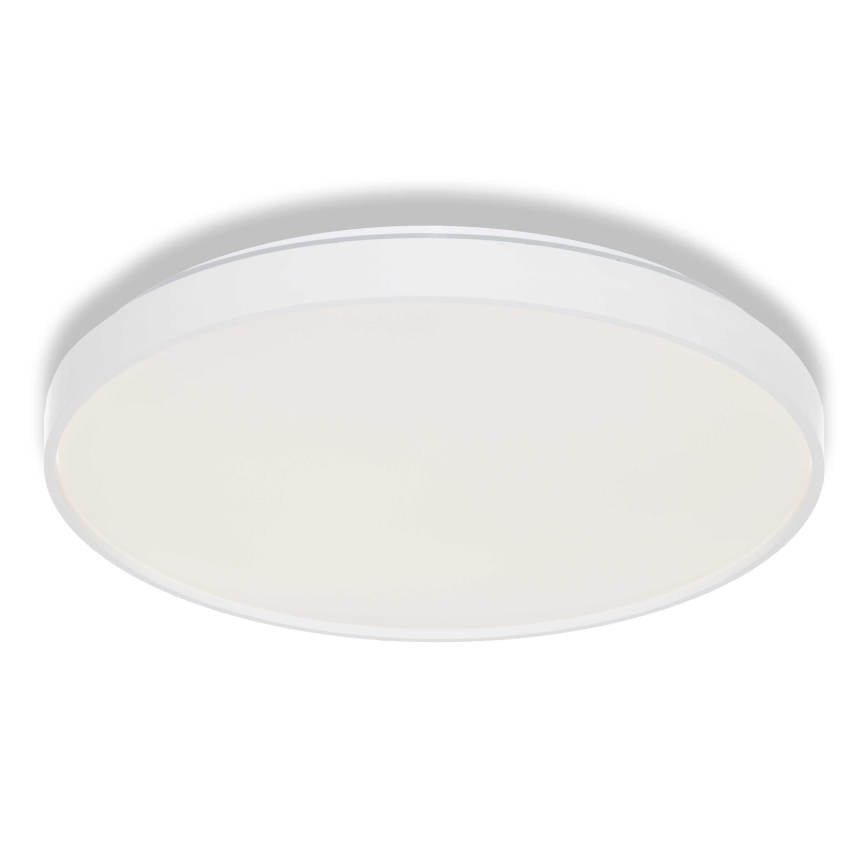 Osram - LED griestu lampa CEILING LUXO LED/36W/230V Ø 49 cm balta