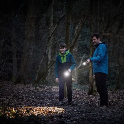 Osram - Aptumšojams LED lukturis LEDINSPECT TORCH 450 ESSENTIAL LED/6W/3xAAA IP44