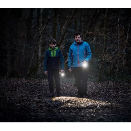 Osram - Aptumšojams LED lukturis LEDINSPECT TORCH 450 ESSENTIAL LED/6W/3xAAA IP44