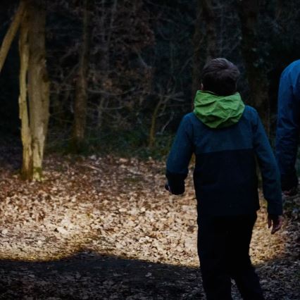 Osram - Aptumšojams LED lukturis LEDINSPECT TORCH 450 ESSENTIAL LED/6W/3xAAA IP44