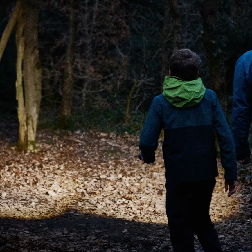 Osram - Aptumšojams LED lukturis LEDINSPECT TORCH 450 ESSENTIAL LED/6W/3xAAA IP44