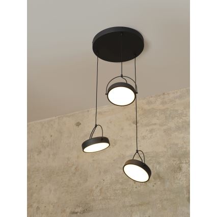 Osram - LED lustra uz stieples DECOR PUCK 3xLED/12W/230V CRI 90 melna