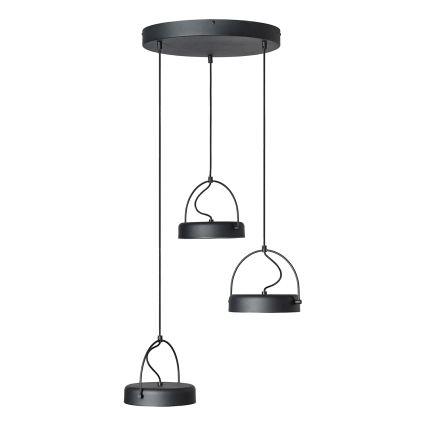 Osram - LED lustra uz stieples DECOR PUCK 3xLED/12W/230V CRI 90 melna