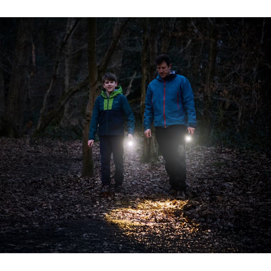 Osram - Regulējams LED lukturis LEDINSPECT TORCH 350 ESSENTIAL LED/4W/2xAAA IP44