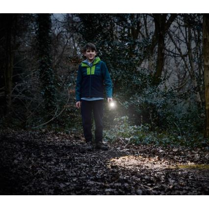 Osram - Regulējams LED lukturis LEDINSPECT TORCH 350 ESSENTIAL LED/4W/2xAAA IP44