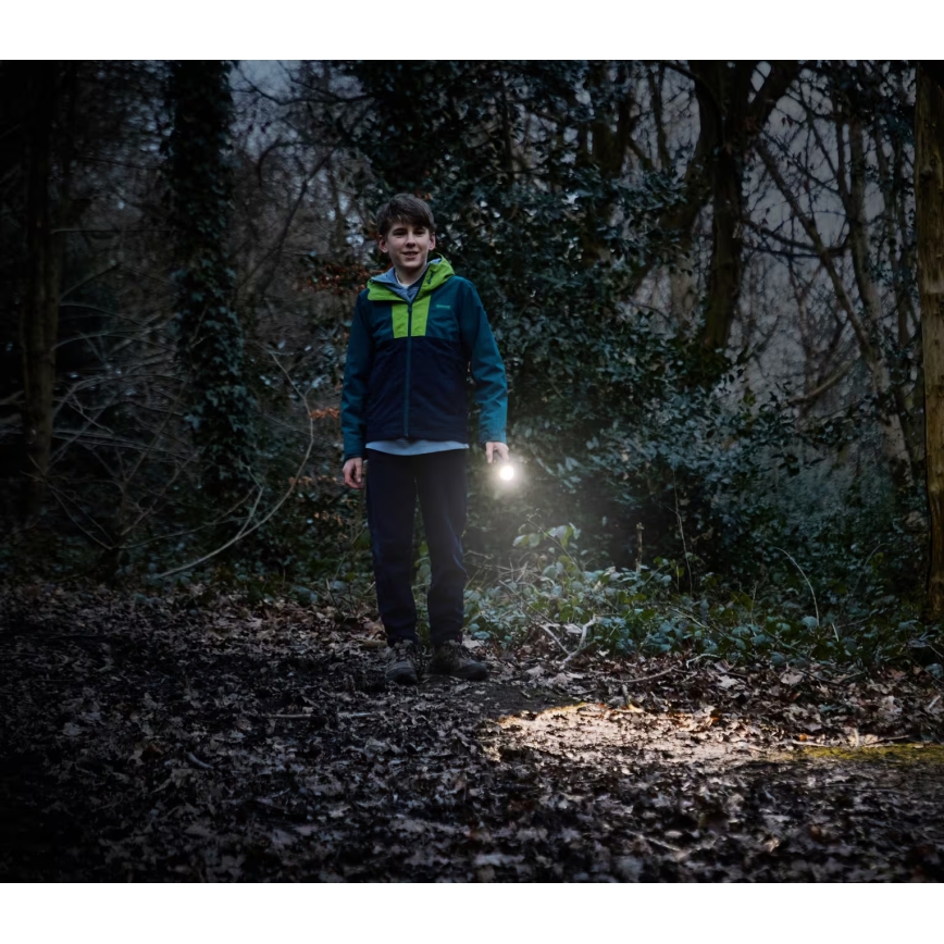 Osram - Regulējams LED lukturis LEDINSPECT TORCH 350 ESSENTIAL LED/4W/2xAAA IP44