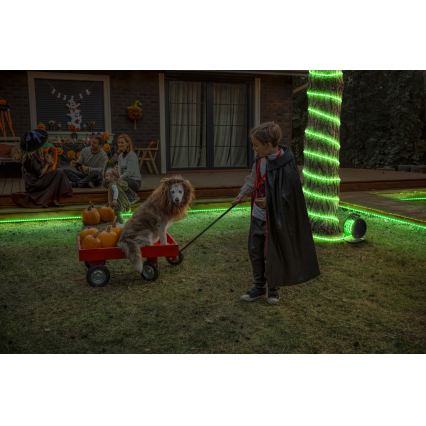 Osram - LED RGB regulējamā āra lente FLEX 10m LED/70W/230V IP65 + tālvadības pults