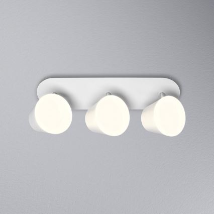 Osram - LED vannas istabas SPOT gaismeklis 3xLED/7W/230V IP44 3000/4000K