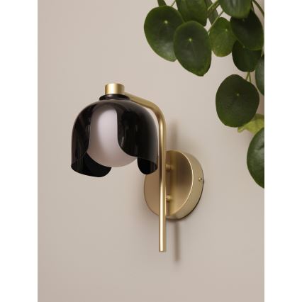 Osram - Sienas lampa DECOR COROLLE 1xG9/20W/230V melna/zelta