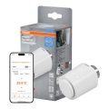 Osram - SMART+ termostatiskā galviņa 3xAA Wi-Fi