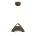 Pakaramā lampa uz vada FUNDA 1xE27/15W/230V brūna