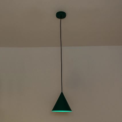 Pakaramā lustra ETNA II uz vada 1xE27/15W/230V Ø 18,5 cm zaļa