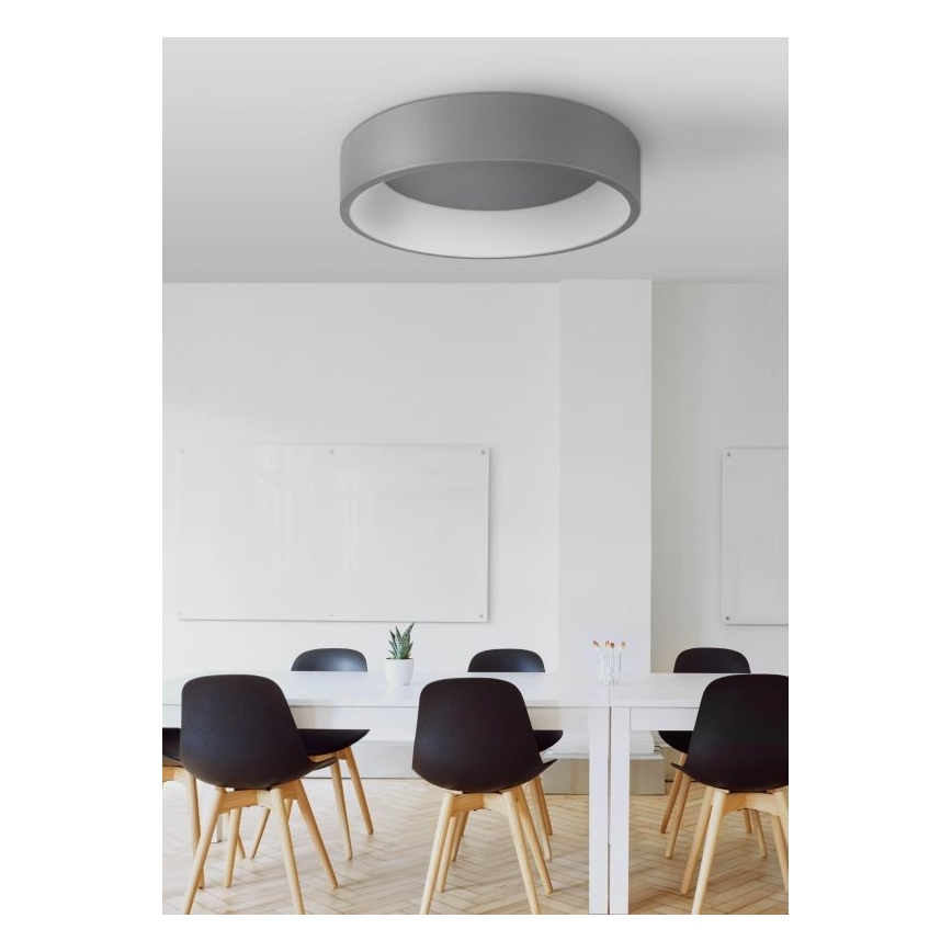 LED griestu gaismeklis KAJI LED/20W/230V