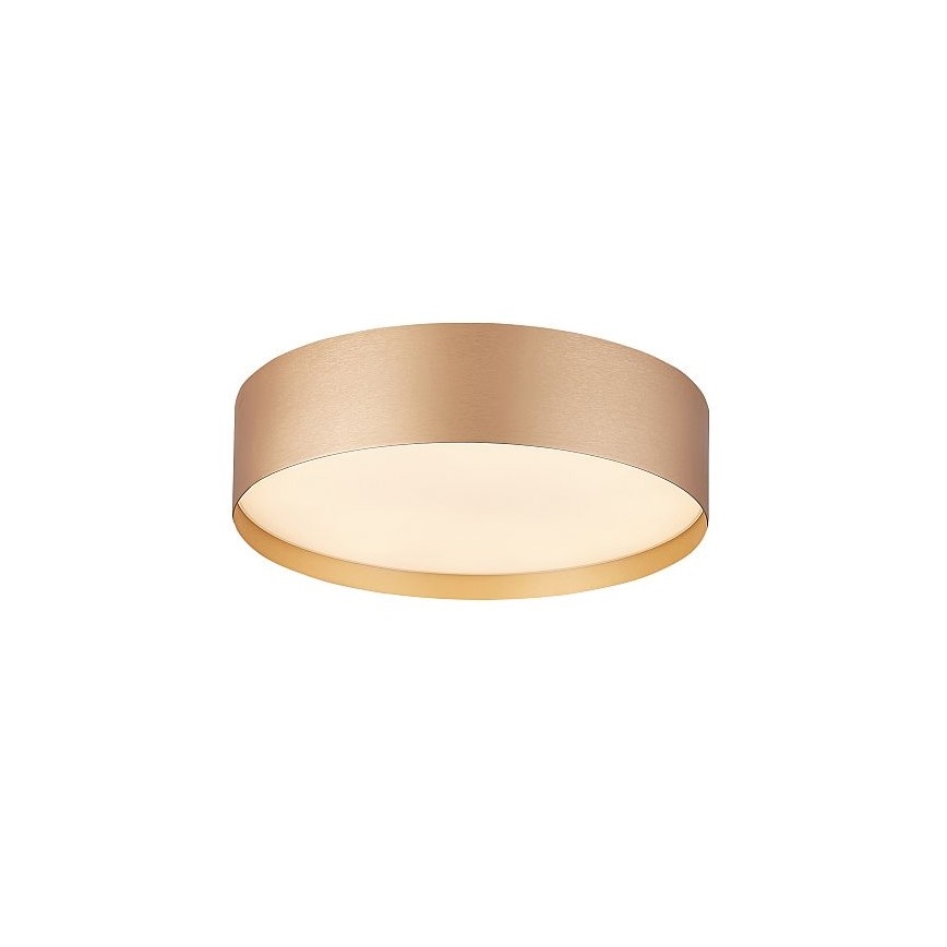 LED griestu gaismeklis SOFIE LED/50W/230V