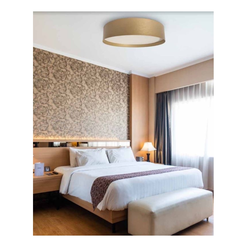 LED griestu gaismeklis SOFIE LED/50W/230V