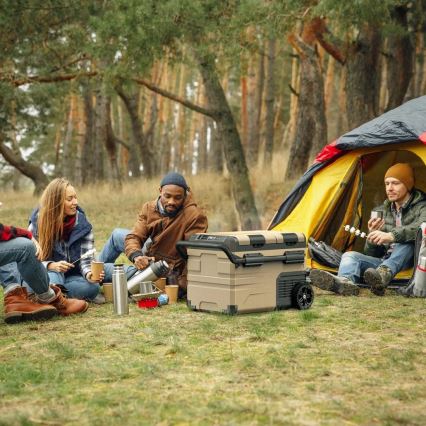 Pārnēsājama automašīnas ledusskapis ar LCD ekrānu 39 l 230V/12V/24V brūna