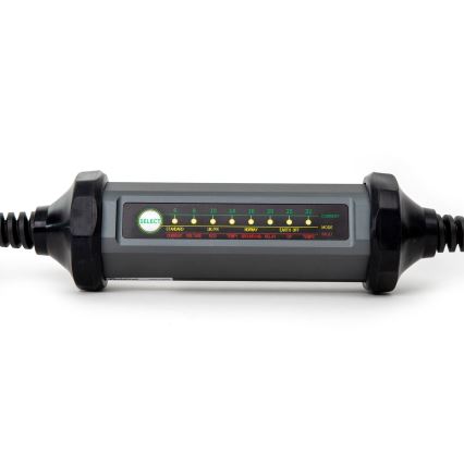 Pārnēsājams lādētājs elektromobiļiem ar 4 adapteri Tips 2 32A/480V 22kW 7m IP67