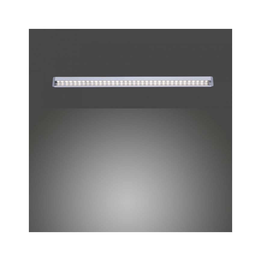 Paul Neuhaus 1122-95 - LED Virtuves zem skapīša gaismeklis HELENA LED/6W/230V