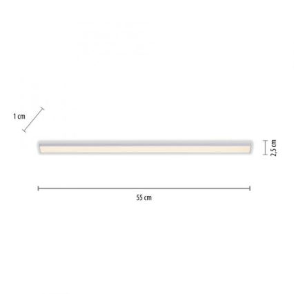 Paul Neuhaus 1125-21-A - LED paplašināms zemgaismas gaismeklis AMON LED/6W/12/230V