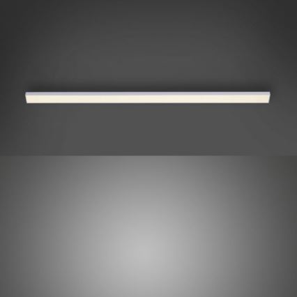Paul Neuhaus 1125-21-A - LED Pagarinājuma virtuves zem skapiša lampa AMON LED/6W/12/230V