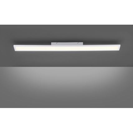 Paul Neuhaus 16537-16-O - LED Aptumšojams virsapmetuma panelis FLAT LED/21W/230V + tālvadības pults