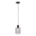 Paul Neuhaus 2006-25 - Lustra ar auklu BOLETUS 1xE27/10W/230V d. 14 cm pelēka