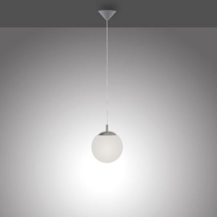 Paul Neuhaus 2072-55 - Lustra ar auklu BOLO 1xE27/60W/230V d. 20 cm