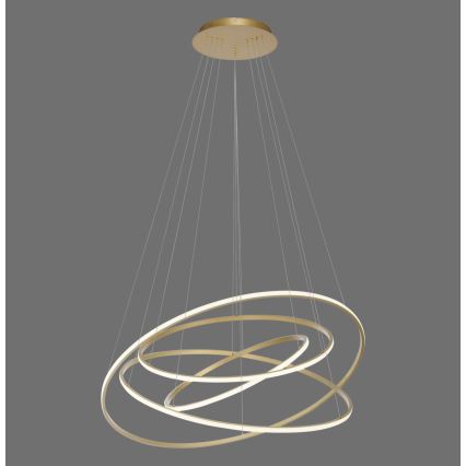 Paul Neuhaus 2124-60 - LED Aptumšojama lustra ar auklu TESSARA LED/97W/230V 2700-5000K + tālvadības pults