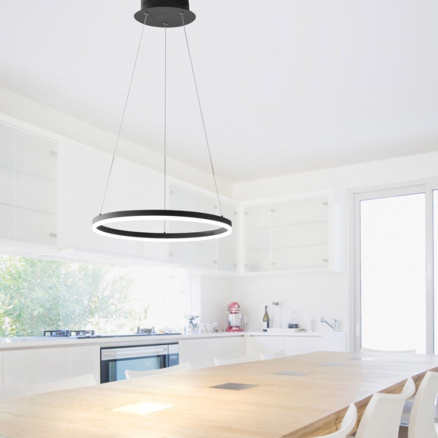 Paul Neuhaus 2381-13 - LED Aptumšojama lustra ar auklu TITUS LED/28W/230V