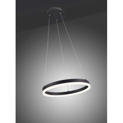 Paul Neuhaus 2381-13 - LED Aptumšojama lustra ar auklu TITUS LED/28W/230V