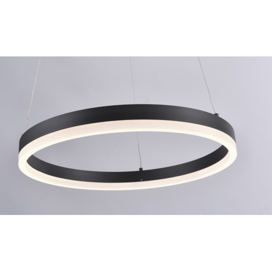 Paul Neuhaus 2381-13 - LED Aptumšojama lustra ar auklu TITUS LED/28W/230V