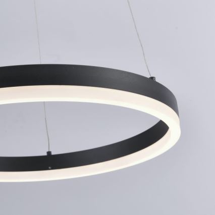 Paul Neuhaus 2381-13 - LED Aptumšojama lustra ar auklu TITUS LED/28W/230V