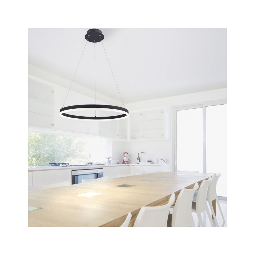Paul Neuhaus 2382-13 - LED Aptumšojama lustra ar auklu TITUS LED/38,5W/230V