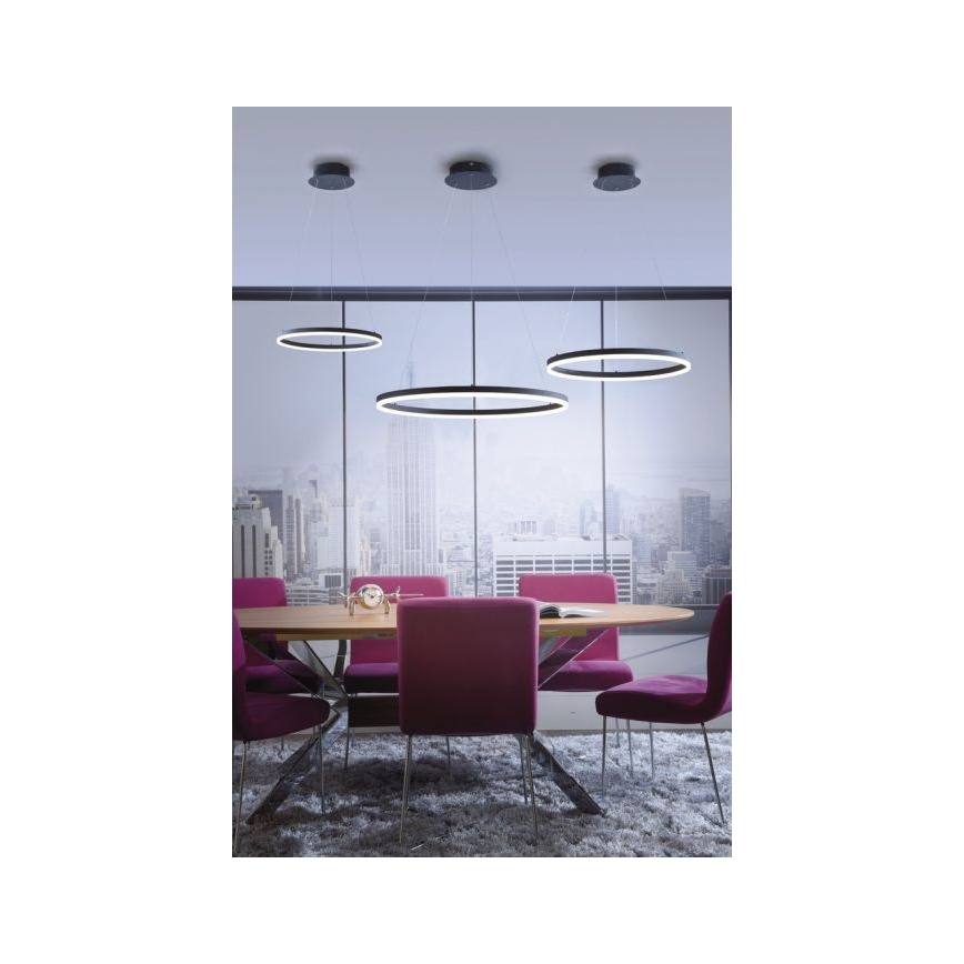Paul Neuhaus 2382-13 - LED Aptumšojama lustra ar auklu TITUS LED/38,5W/230V