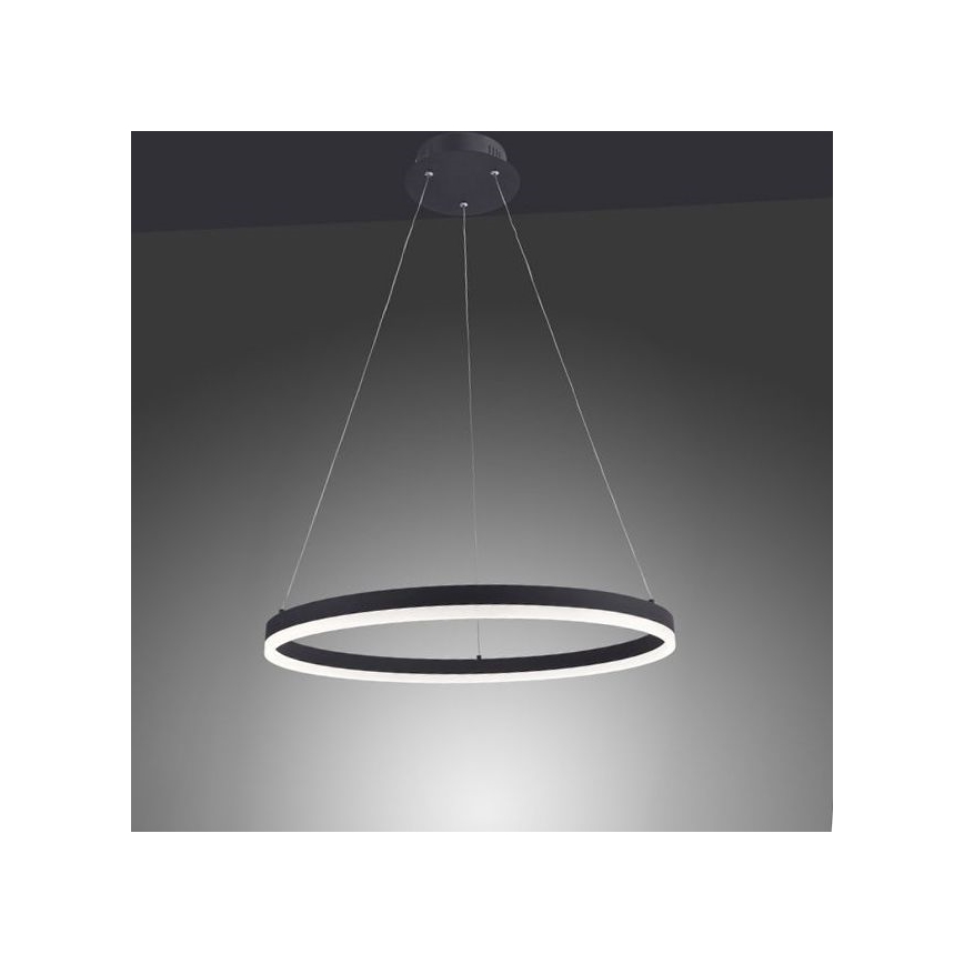 Paul Neuhaus 2382-13 - LED Aptumšojama lustra ar auklu TITUS LED/38,5W/230V