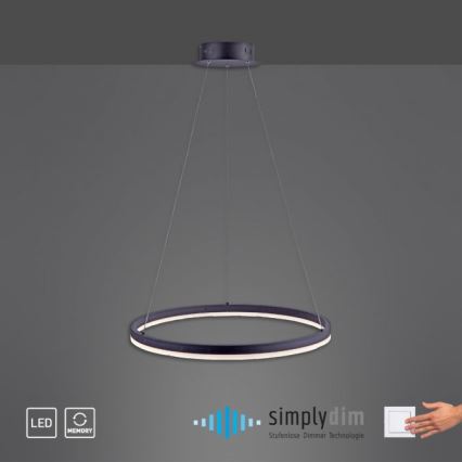 Paul Neuhaus 2382-13 - LED Aptumšojama lustra ar auklu TITUS LED/38,5W/230V