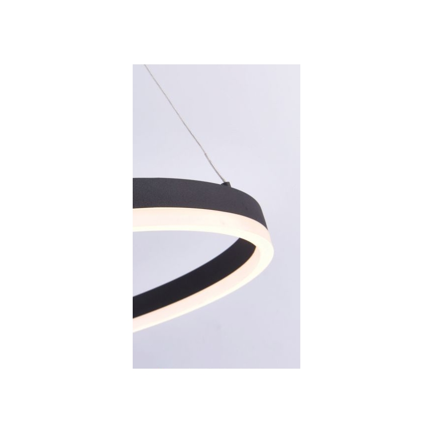 Paul Neuhaus 2382-13 - LED Aptumšojama lustra ar auklu TITUS LED/38,5W/230V