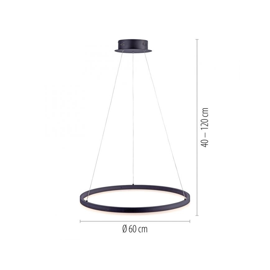 Paul Neuhaus 2382-13 - LED Aptumšojama lustra ar auklu TITUS LED/38,5W/230V
