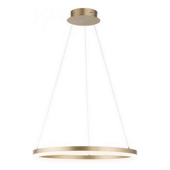 Paul Neuhaus 2382-60 - LED Aptumšojama lustra ar auklu TITUS LED/38,5W/230V