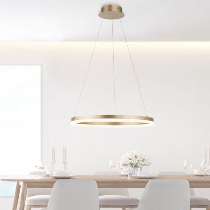 Paul Neuhaus 2382-60 - LED Aptumšojama lustra ar auklu TITUS LED/38,5W/230V